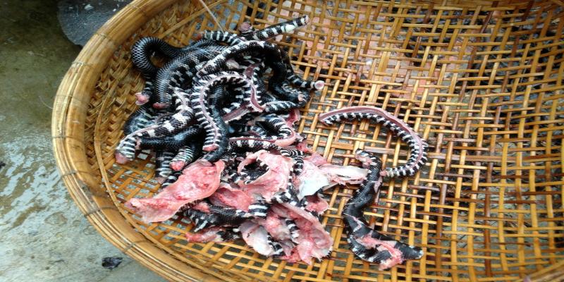 Anh em cần chuẩn bị đầy đủ nguyên liệu khi làm mồi