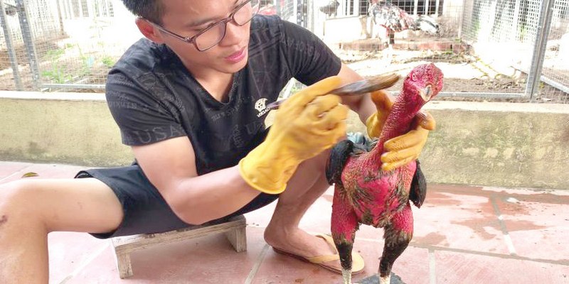 Bạn cần chọn ngày nắng để vào nghệ