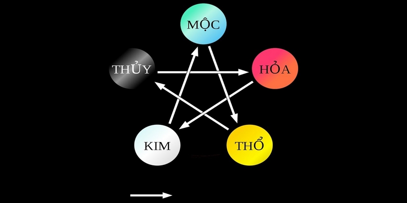 Gà chọi có mạng gà đá mệnh Thổ thường có lông màu vàng đất