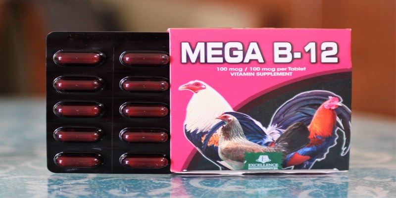Mega B12 là thuốc bổ được sư kê sử dụng cho gà đá
